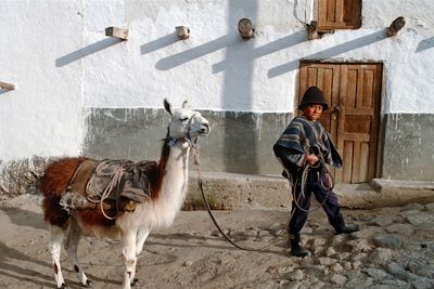 Au pays du lama qui rit