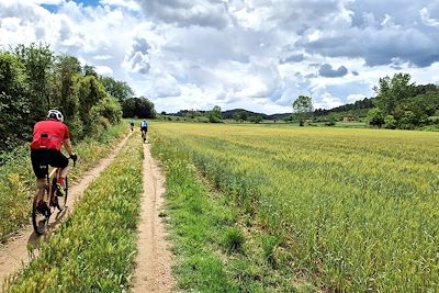 Catalogne, les vignobles en Gravel