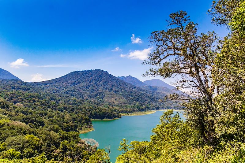 Lacs Buyan et Tamblingan - Bali - Indonésie