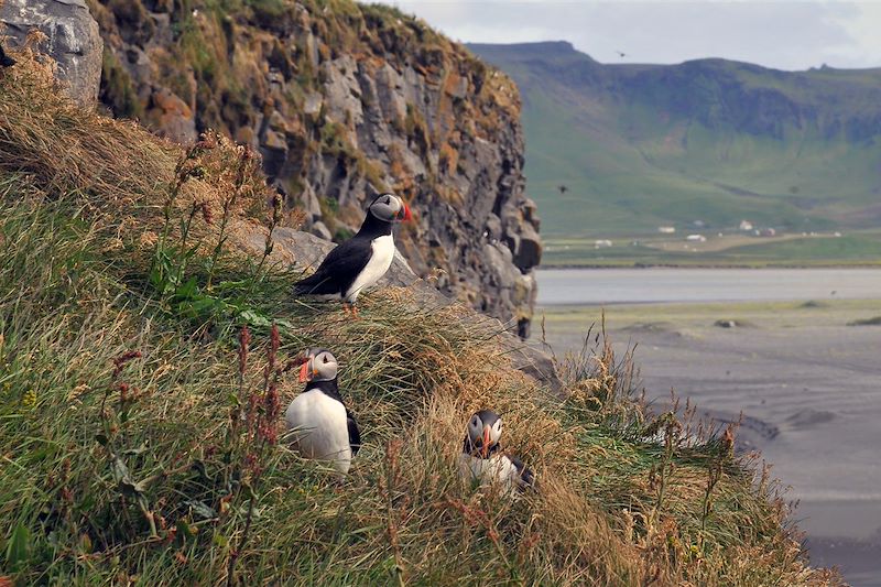 Islande, la liberté de rouler
