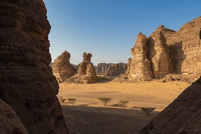 Pétra & Hégra : au cœur du royaume nabatéen