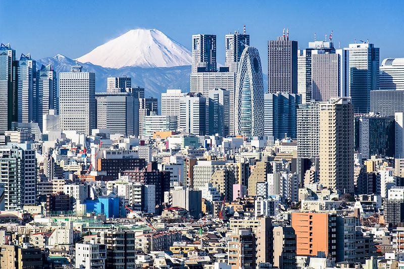 Tokyo en hiver - Région du Kanto - Japon