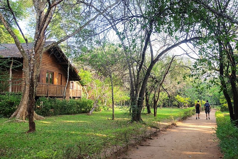 The Other Corner - Habarana - Sri Lanka