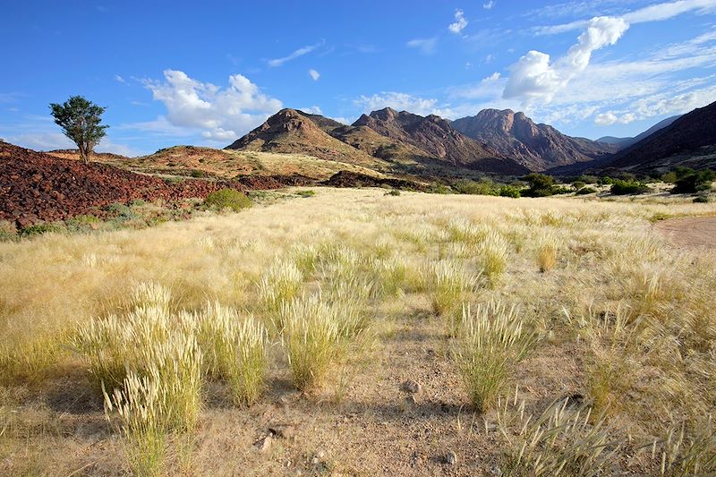 Massif de Brandberg - Namibie