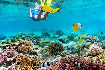 Reliefs de Moorea & Fonds marins des Tuamotu