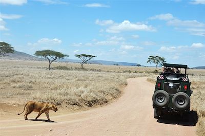 Lodges et camps de toile en Tanzanie 