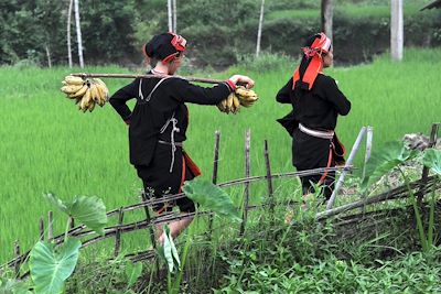 Voyage Vietnam