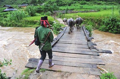 Voyage Vietnam