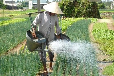 Voyage Vietnam