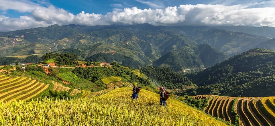 Le Vietnam du nord au sud en 3 semaines, avec alternance de trek, transport en train et navigation en jonque traditionnelle.